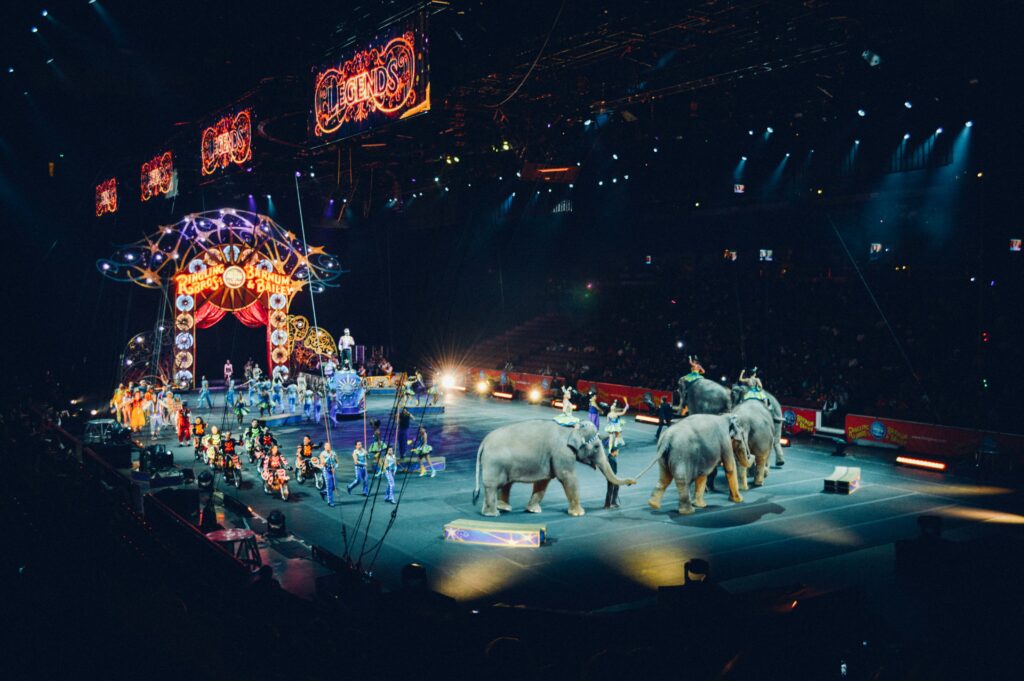 circus